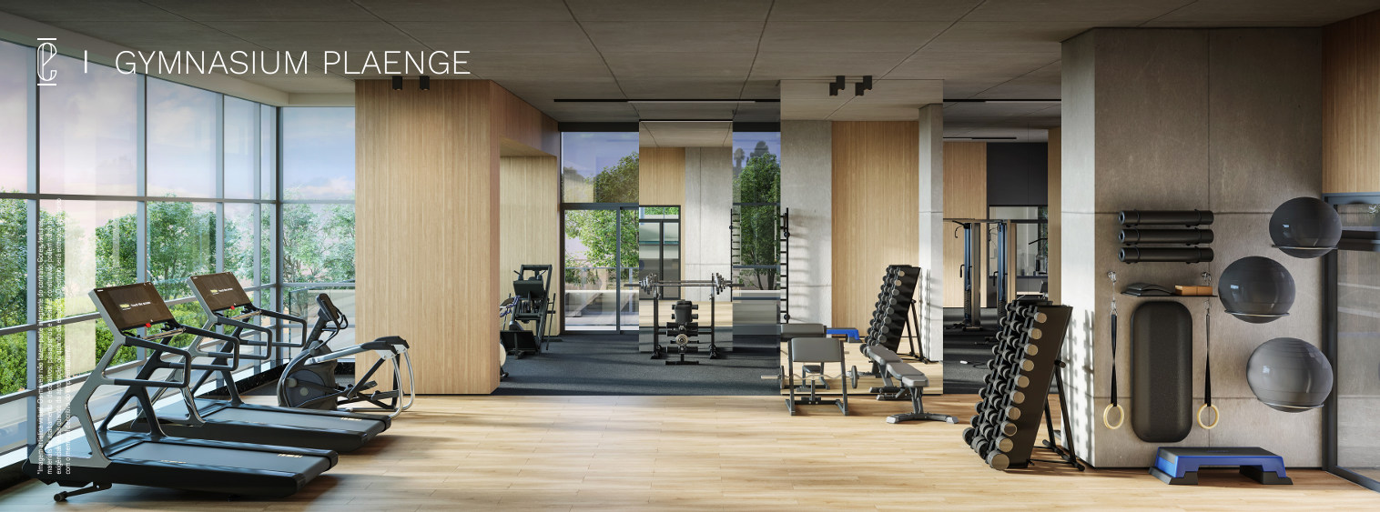 Gymnasium